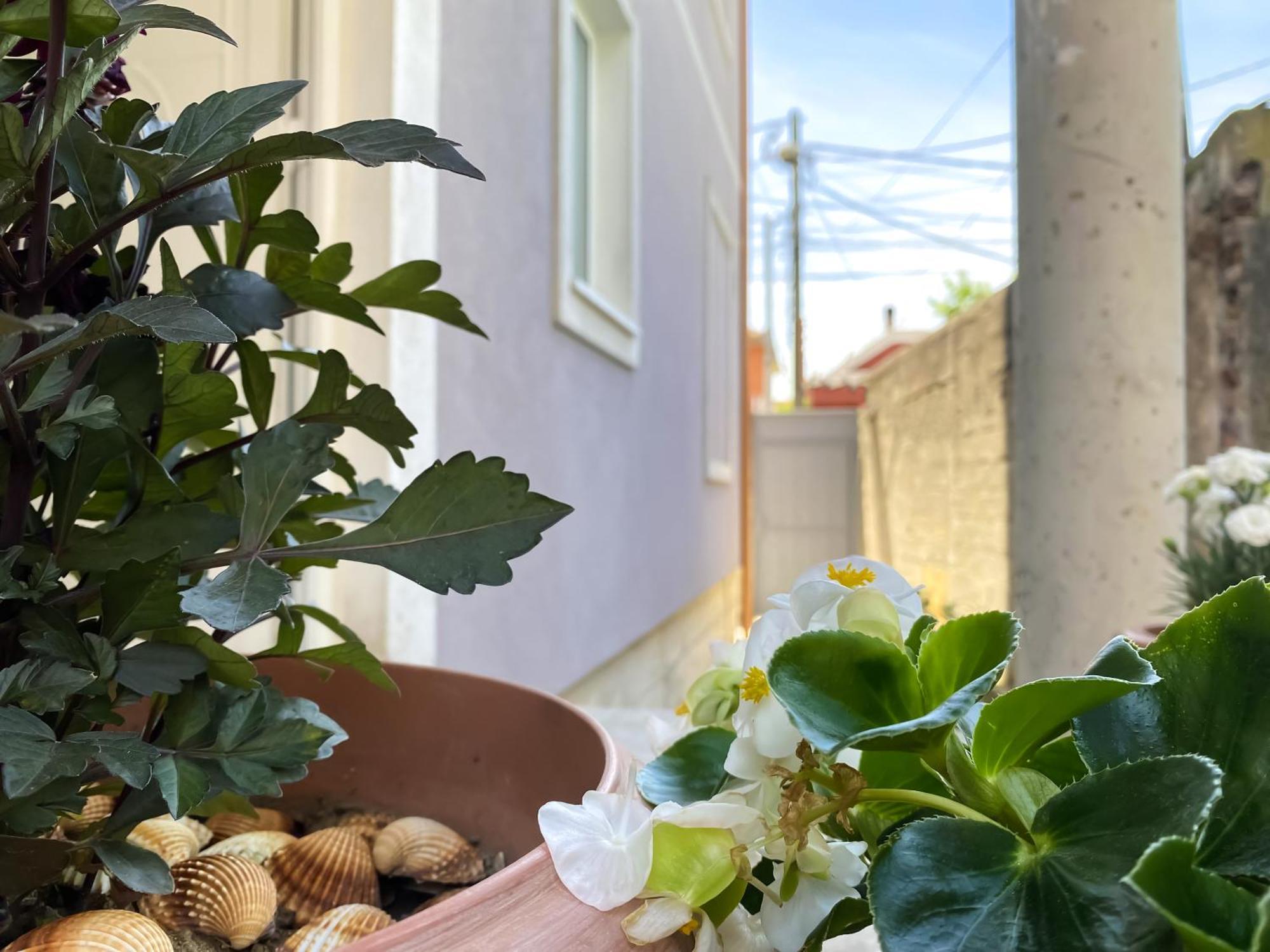 Northgate Apart-Villa Shkoder Bagian luar foto