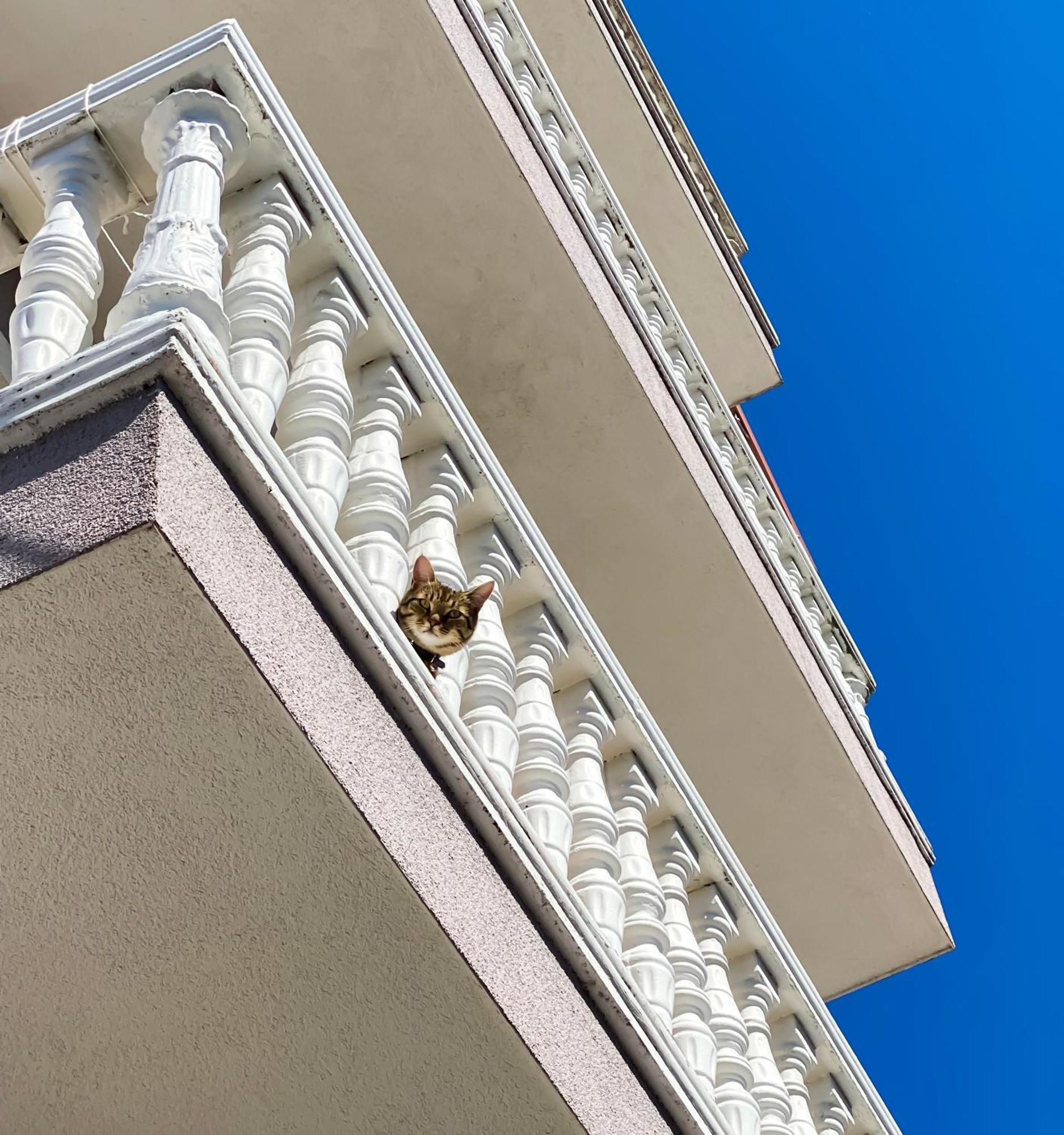 Northgate Apart-Villa Shkoder Bagian luar foto
