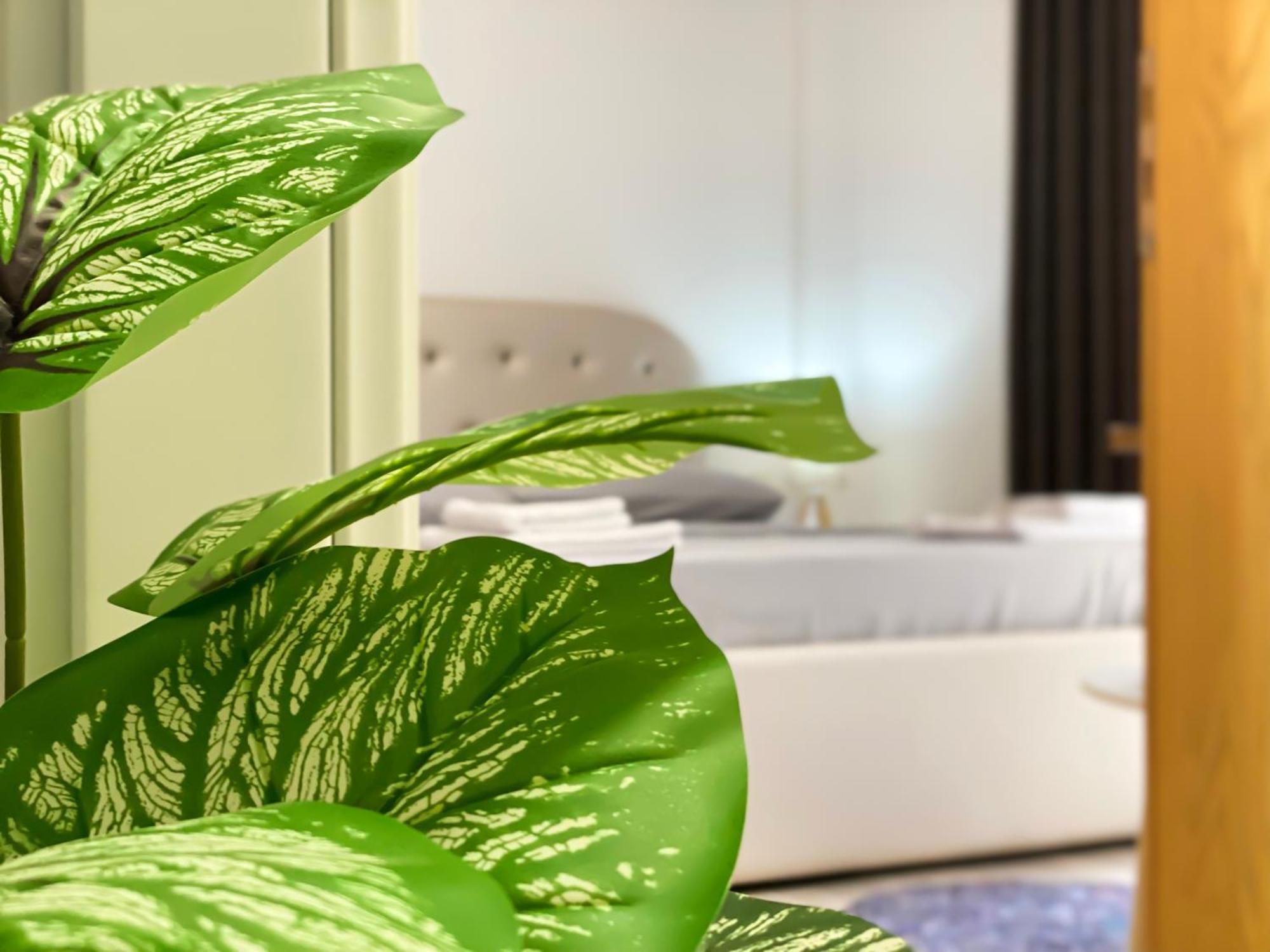 Northgate Apart-Villa Shkoder Bagian luar foto
